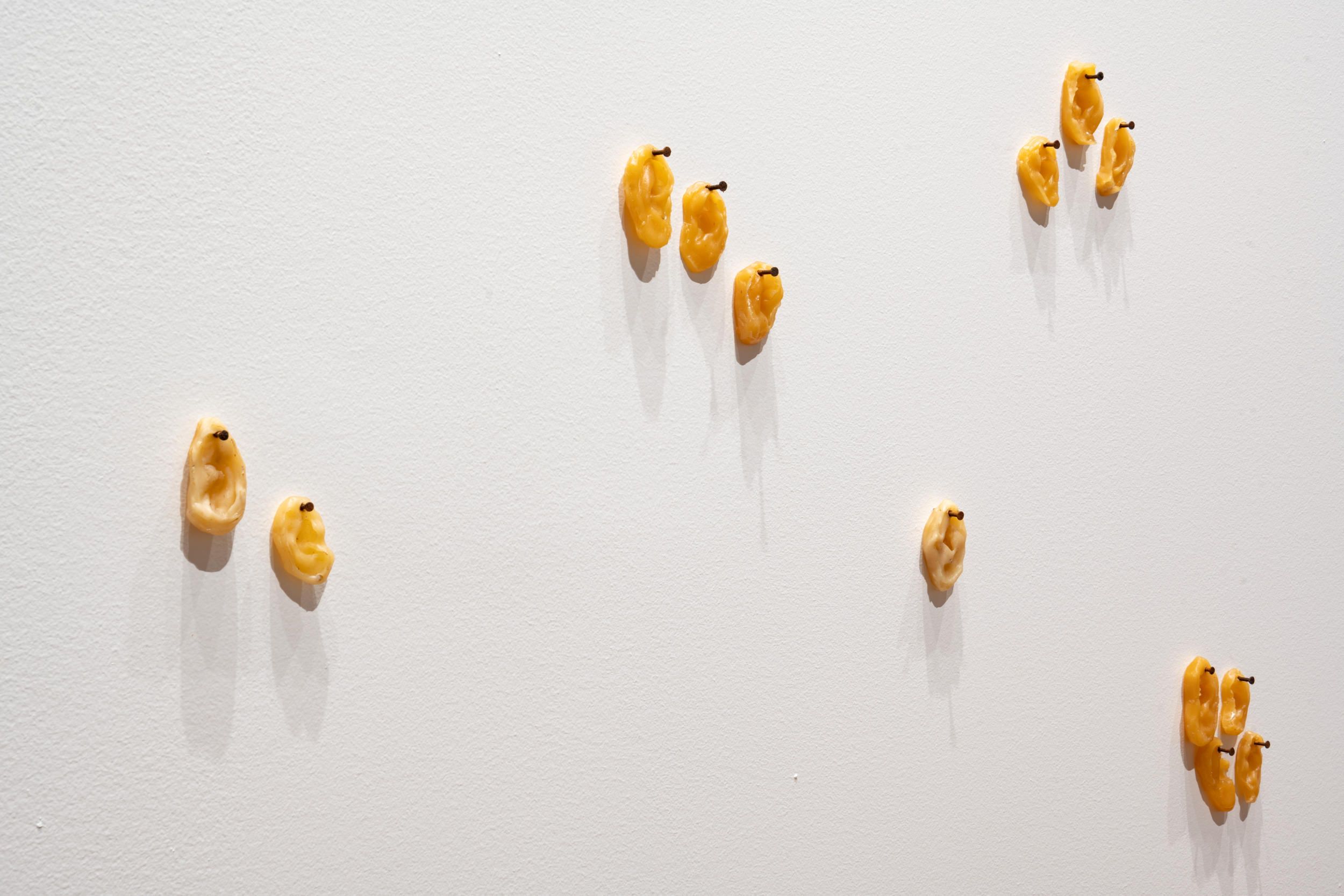 Judy Watson / Waanyi people / Australia b.1959 / 40 pairs of blackfellows’ ears, lawn hill station 2008 / wax and nails / Dimensions variable / Courtesy: The artist and Milani Gallery, Brisbane (Meeanjin/Magandjin) / Photograph: N Umek © QAGOMA
