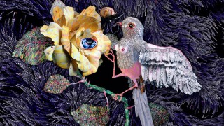 Del Kathryn Barton, Australia b 1972 / The Nightingale and the Rose (still) 2015 / Film, 14 min, edition of 6 + 2AP / Courtesy: The artist and Roslyn Oxley9 Gallery, Sydney / © Del Kathryn Barton