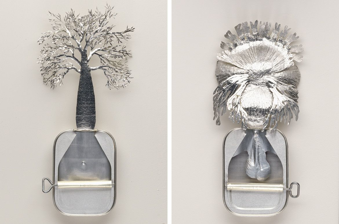 Fiona Hall, Australia b.1953 / Works from Australian set: Kawee (Tjapwurong); Black boy; Xanthorrhoea australis / Australian set: Bullonock (Nyoongar); Black gin; Kinga australis / Australian set: Dumban (Bundjalung); Staghorn; Platycerium supberbum / Australian set: Julunayn (Bundjalung); Bottle tree; Brackychiton ruprestis (from ‘Paradisus Terrestris Entitled’ series) 1998–99 / Aluminium and tin / Thirteen pieces: 28 x 18 x 4cm (each, approx.) / Aluminium and tin / Eight pieces: 28x 18 x 4cm (each, approx.) Purchased 2021. The Josephine Ulrick and Win Schubert Charitable Trust / Collection: The Josephine Ulrick and Win Schubert Charitable Trust, Queensland Art Gallery | Gallery of Modern Art / © Fiona Hall