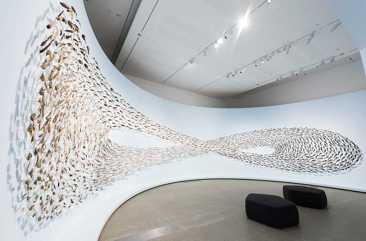 Jonathan Jones, Wiradjuri/Kamilaroi peoples, Australia b.1978, with Dr Uncle Stan Grant Snr AM, Wiradjuri people, Australia b.1940 / (untitled) giran (detail) 2018 / Bindu-gaany (freshwater mussel shell), gabudha (rush), gawurra (feathers), marrung dinawan (emu egg), walung (stone), wambuwung dhabal (kangaroo bone), wayu (string), wiiny (wood), 48-channel soundscape / Sound design: Luke Mynott, Sonar Sound / © The artists / Photograh: Natasha Harth © QAGOMA / This project has been assisted by the Australian Government through the Australia Council, its arts funding and advisory body; the NSW Government through Create NSW; and the Copyright Agency Cultural Fund. This project has also been supported by Carriageworks through the Solid Ground program.