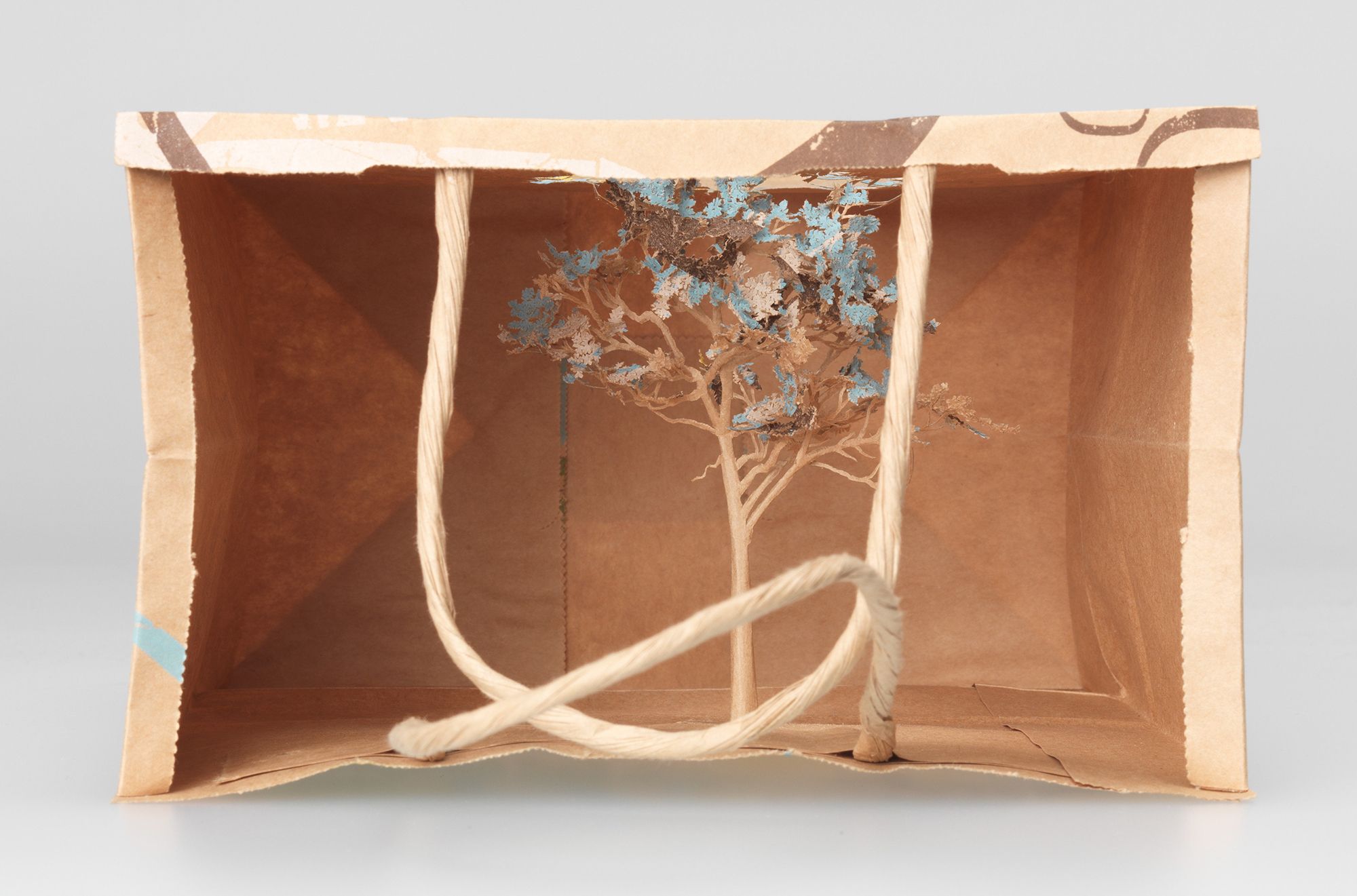 Yuken Teruya, Japan b.1973 / Notice - Forest 2006 / Paper and glue / d: 12 x 20 x 26.2cm (without handles); 12 x 20 x 37.3cm (with handles) / Purchased 2007. The Queensland Government's GOMA Acquisitions Fund / Collection: Queensland Art Gallery | Gallery of Modern Art / © Yuken Teruya