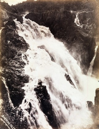 Barron Falls, Cairns railway c.1895 / Gelatin silver photograph on paper / 22.9 x 17.6cm (irreg.) / Purchased 2005.The Queensland Government's special Centenary Fund / Collection: Queensland Art Gallery | Gallery of Modern Art