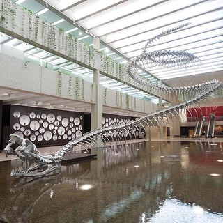 Huang Yong Ping, China/France b.1954 / Ressort (installation view) 2012 / Aluminium, stainless steel / Commissioned 2012 with funds from Tim Fairfax AM through the Queensland Art Gallery Foundation / Collection: Queensland Art Gallery | Gallery of Modern Art / © Estate of Huang Yong Ping
