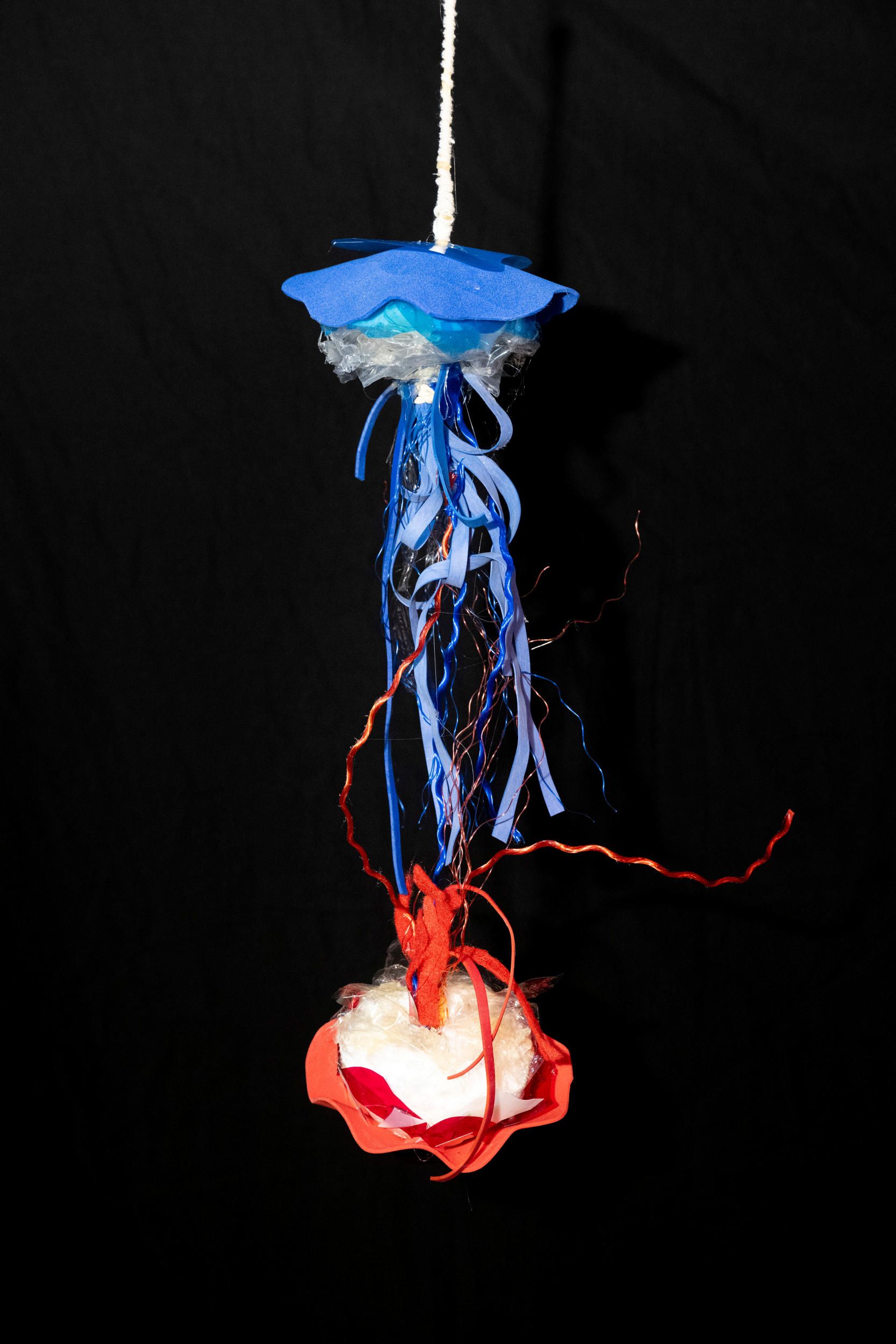 Aoife Fitzgerald | Drift 2025