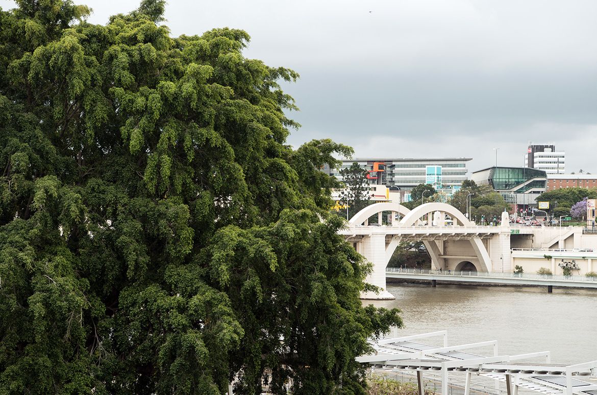 View of the Grey Street Bridge from the Gallery of Modern Art / Photograph: N Harth © QAGOMA