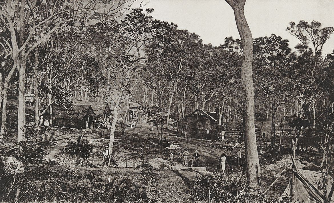 Richard Daintree, England/Australia 1832-78 / (Miners’ camp, New Zealand Gully – Rockhampton district) (no. 20 from ‘Images of Queensland’ series) c.1870 / Autotype on paper / 13 x 21cm / Purchased 2009 with funds raised through the QAG Foundation 30th Anniversary Appeal / Collection: Queensland Art Gallery | Gallery of Modern Art