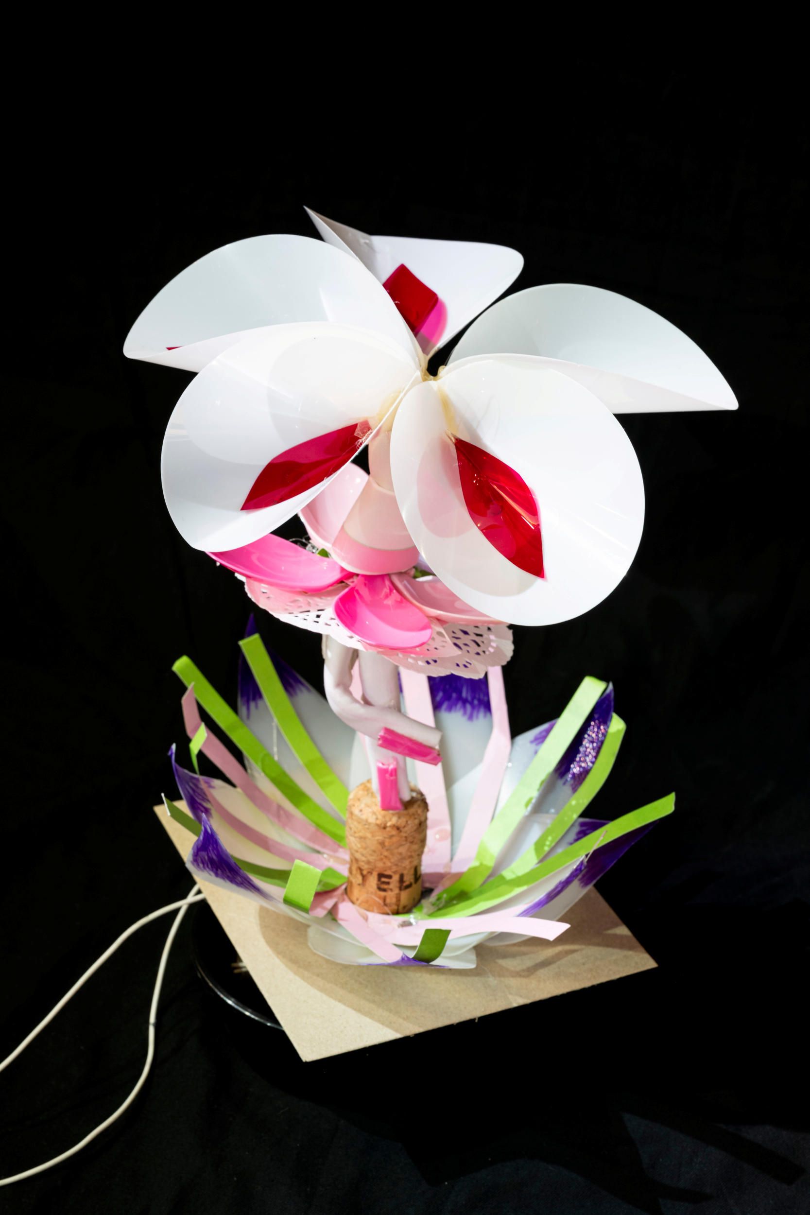 Maddie Hernandez | The music box that grew a girl 2025