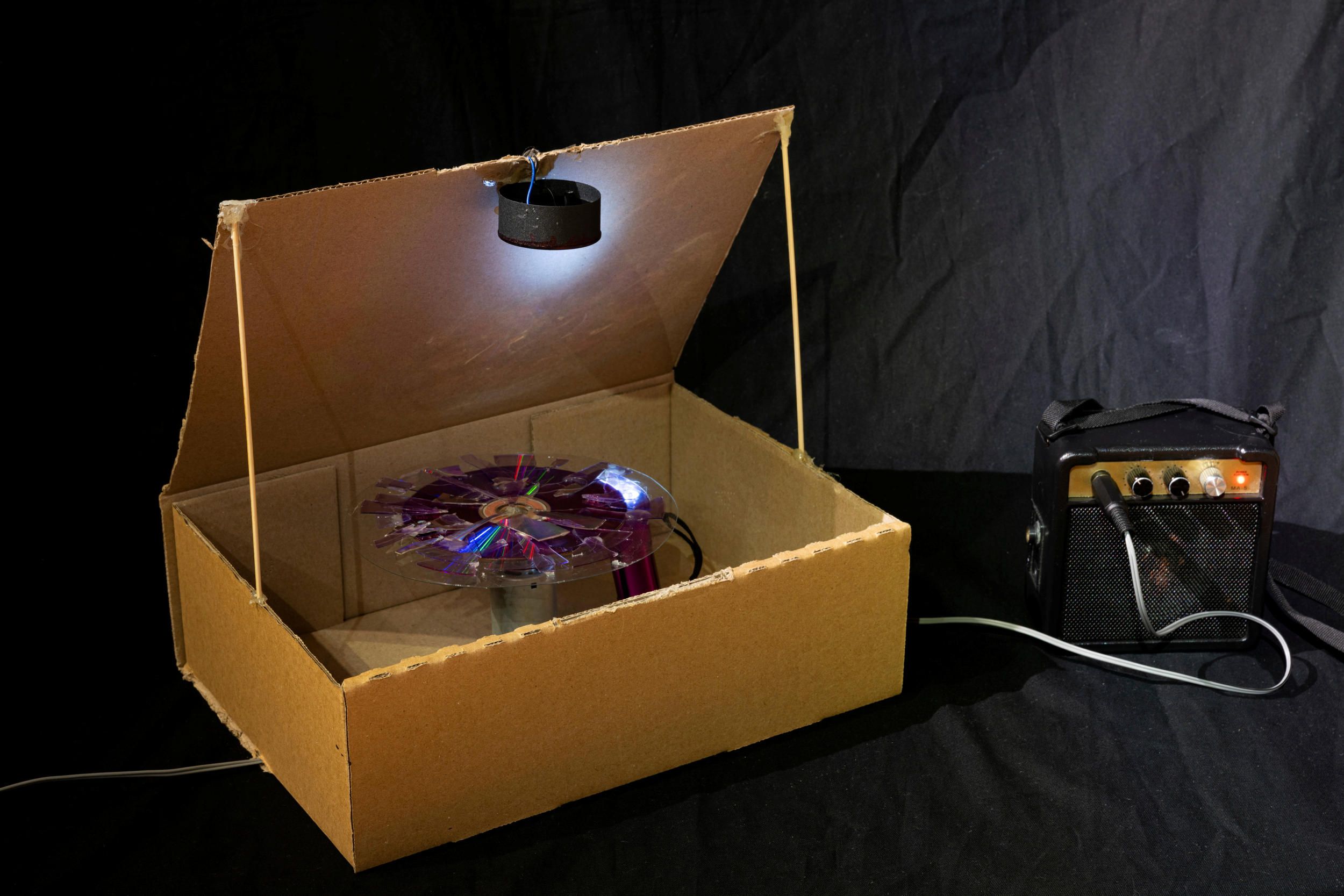 Violet Wood | Shattered 2025