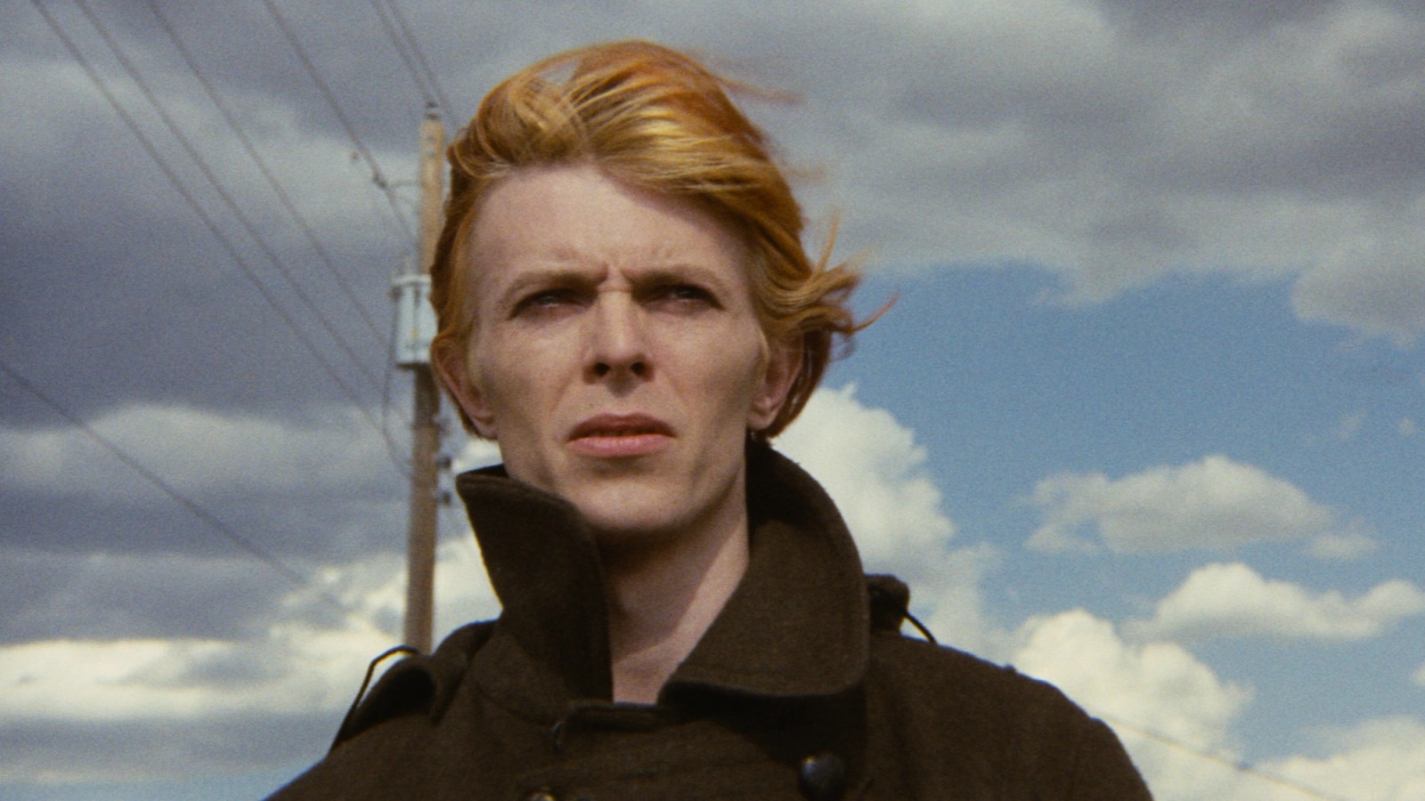 The Image + The Man Who Fell to Earth – Cinema – Queensland Art Gallery