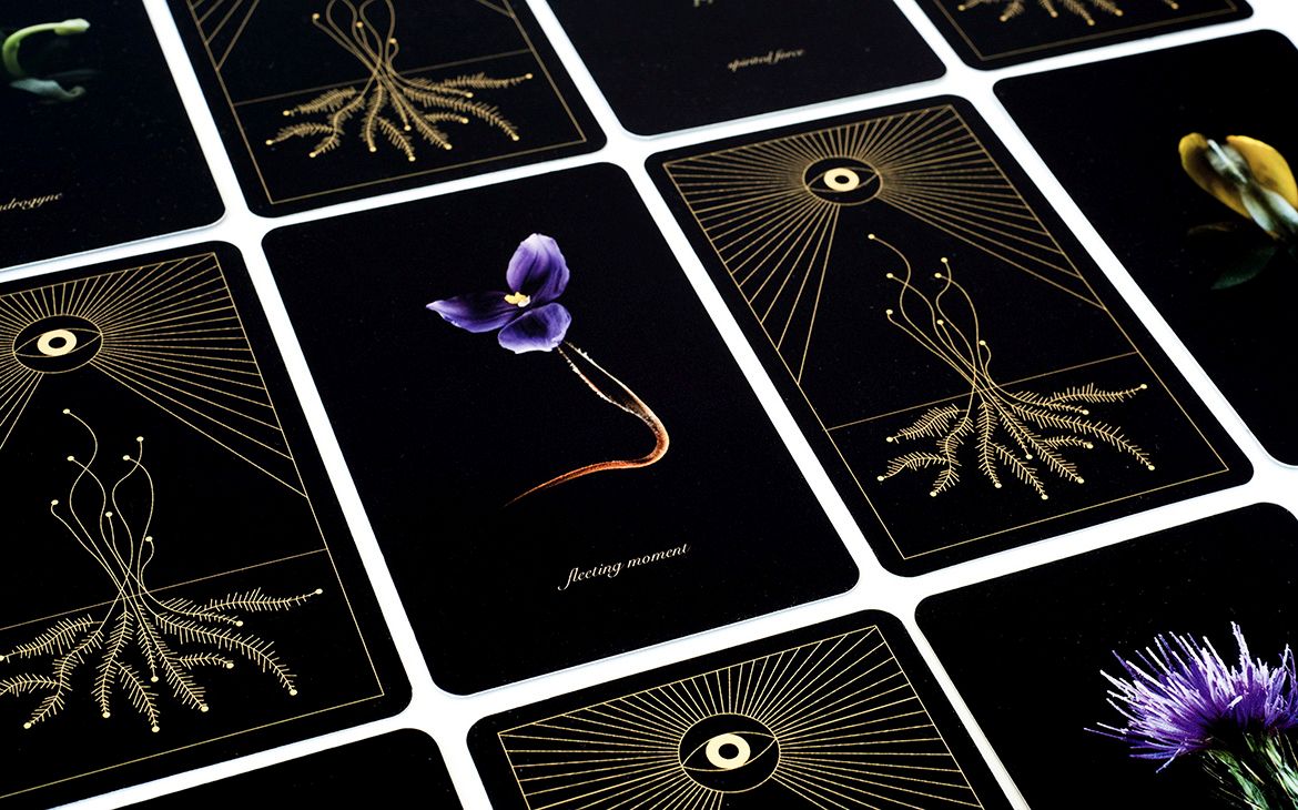 Caitlin Franzmann (artist), Australia b.1979 / Man Cheung (collaborating photographer), Australia b.1978 / Amaara Raheem (collaborating dancer), Sri Lanka/Australia b.1974 / Fortunes of the Forest 2017–ongoing / Performance with digital prints on
polymer coated paper / Courtesy: The artists, with the support of Brisbane City Council’s Karawatha Forest Artist in Residence Program and the Creative Sparks Fund. The Creative Sparks Fund is a partnership between the Queensland Government and Brisbane City Council to support local arts and culture in Brisbane