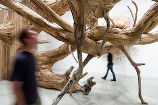 Henrique Oliveira, Brazil b.1973 / Corupira (details) 2023, commissioned for ‘Fairy Tales’, Gallery of Modern Art (GOMA) Brisbane 2023 / Plywood, tapumes veneer and tree branches / Courtesy: Henrique Oliveira / © Henrique Oliveira / Photographs: C Callistemon © QAGOMA