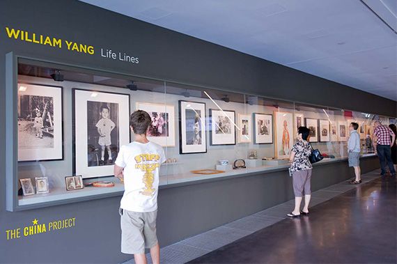 Installation of ‘Life Lines’ by William Yang / All photography: Natasha Harth © QAGOMA