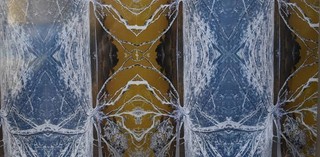 Freya Erlandsson / Nambour State College / Conservation of Country 2019 / Digital photograph / © Freya Erlandsson
