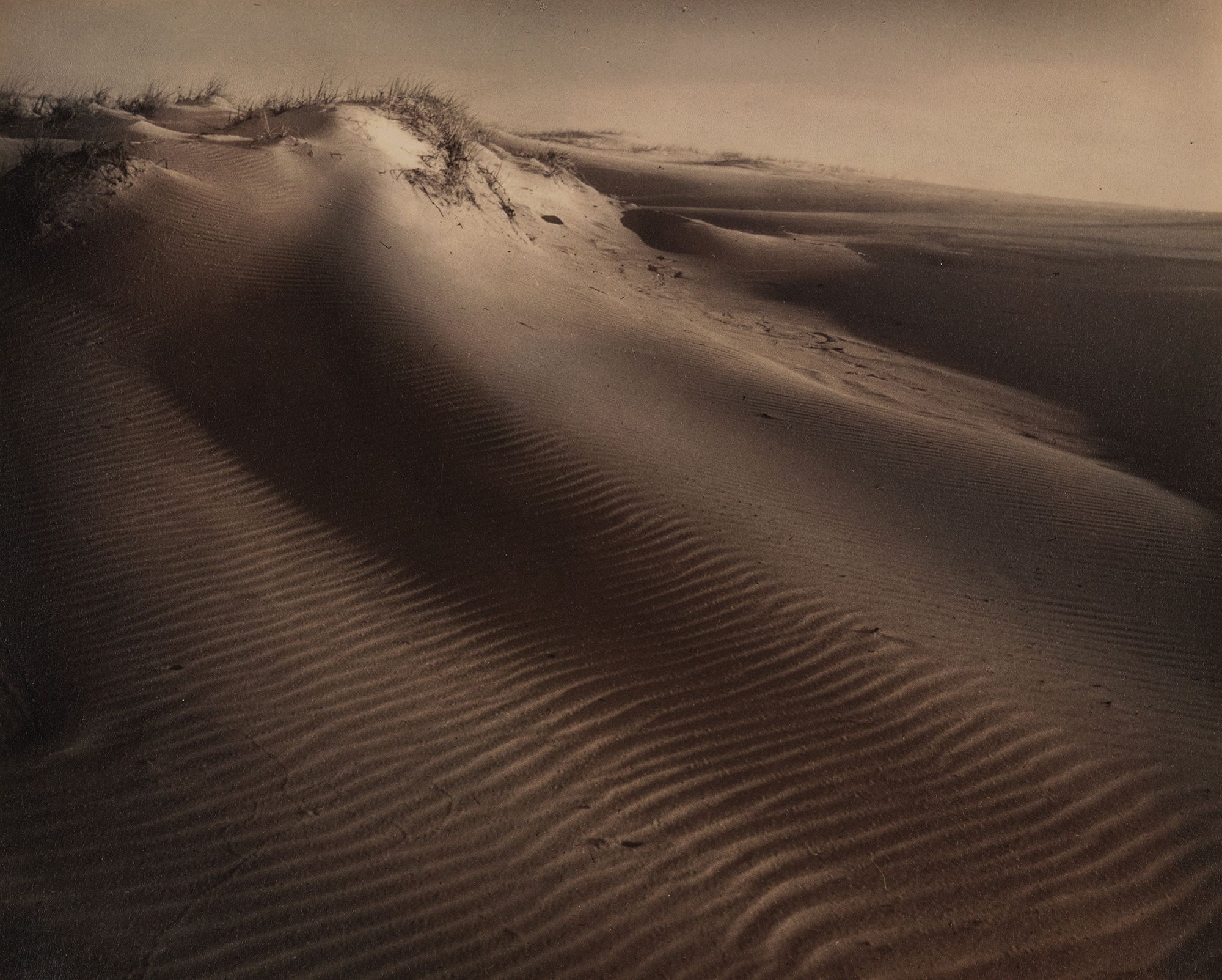 Rose Simmonds, Australia 1877–1960 / Last rays on the sand dunes c.1939-40 / Gelatin silver photograph on paper / 23.8 x 29.5cm / Gift of Dr J H Simmonds 1982 / Collection: Queensland Art Gallery | Gallery of Modern Art