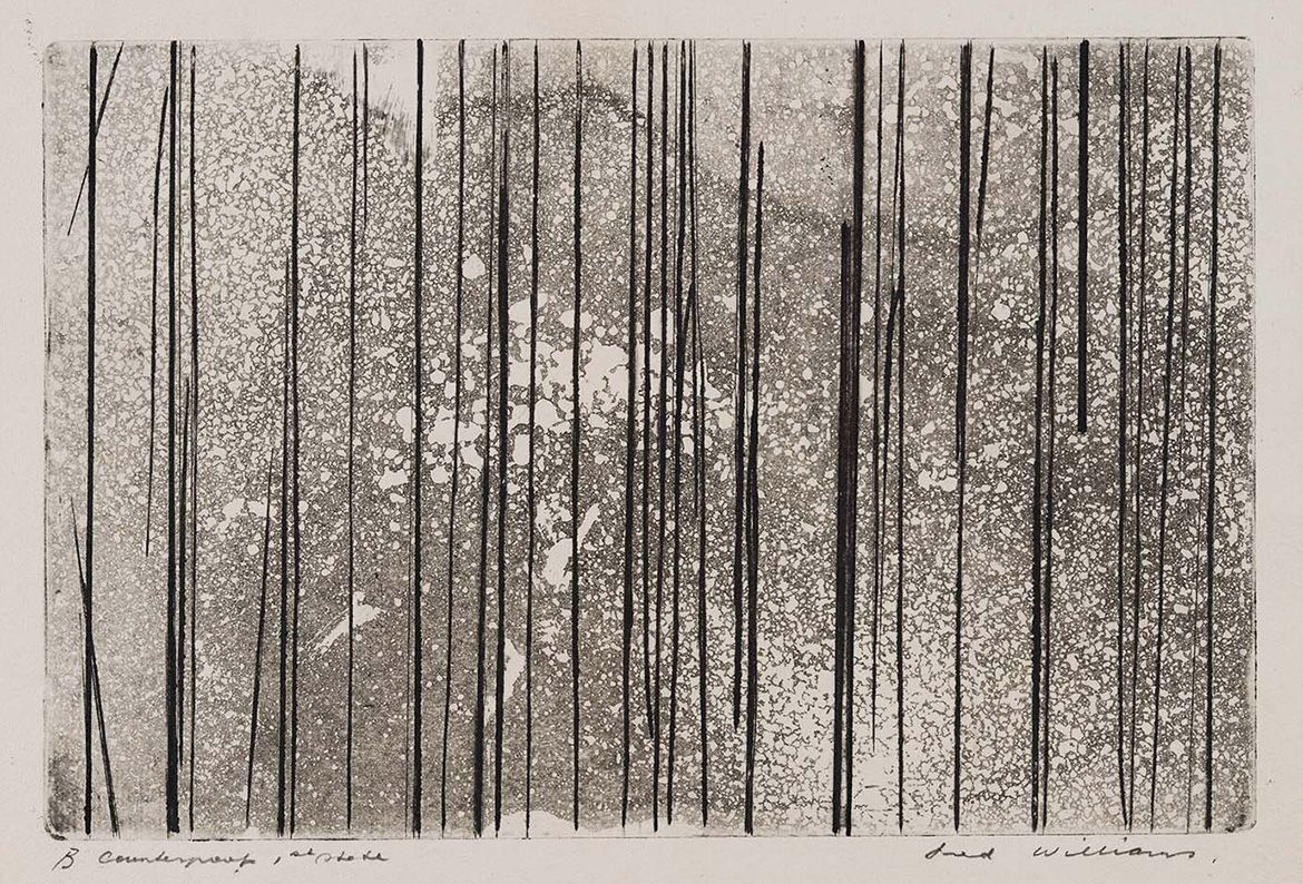 Fred Williams, Australia 1927-82 / Sapling forest 1961 / Aquatint, engraving and drypoint on paper / 13.3 x 23.2cm (comp.) / Gift of James Mollison AO through the Queensland Art Gallery Foundation 1998. Donated through the Australian Government’s Cultural Gifts Program / Collection: Queensland Art Gallery | Gallery of Modern Art / © Estate of Fred Williams