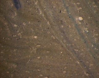 x50 magnified detail showing paint surface disrupted by lead soap lumps erupting from within / Photograph: Gillian Osmond