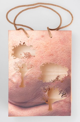 Yuken Teruya, Japan b.1973 / Notice - Forest 2006 / Paper and glue / a: 12.5 x 25 x 34cm (without handles); 12.5 x 25 x 60cm (with handles) / Purchased 2007. The Queensland Government's GOMA Acquisitions Fund / Collection: Queensland Art Gallery | Gallery of Modern Art / © Yuken Teruya