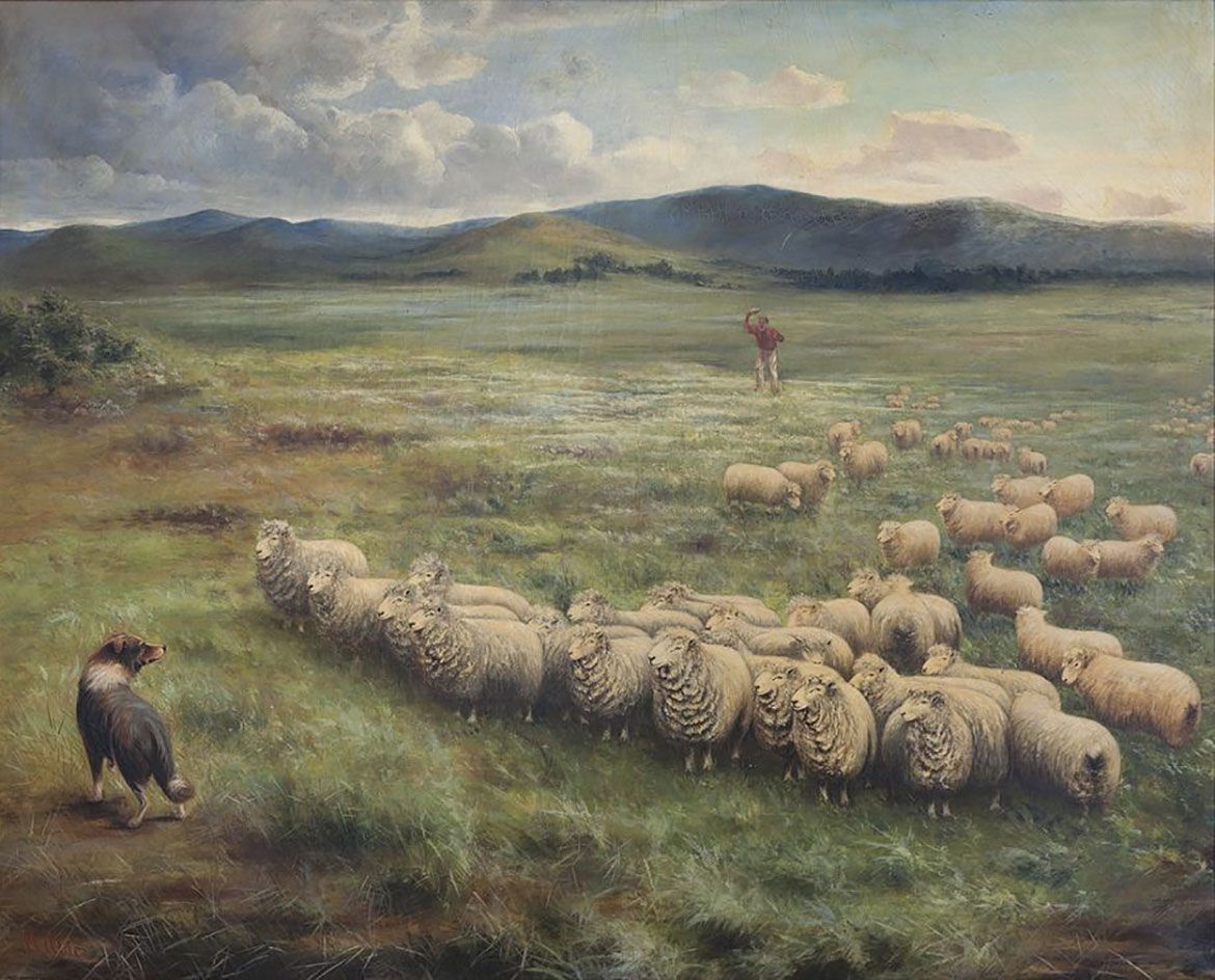 Anthony Alder, Australia 1838-1915 / Lincoln sheep, Homeward Laddie 1895 / Oil on canvas / Collection: John Oxley Library, State Library of Queensland, Brisbane