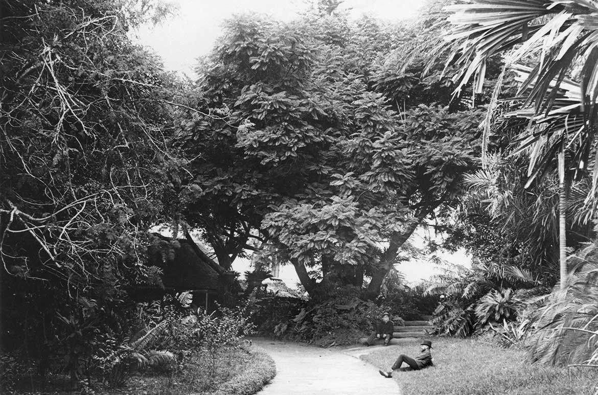 Brisbane Botanic Gardens, c.1895 / Courtesy: John Oxley Library, State Library of Queensland, Brisbane