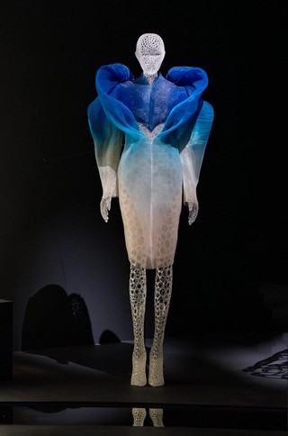 Celebrities dressed by Iris Van Herpen QAGOMA Stories Queensland Art Gallery | Gallery of Modern Art Celebrities dressed by Iris Van Herpen QAGOMA Stories Queensland Art Gallery | Gallery of Modern Art