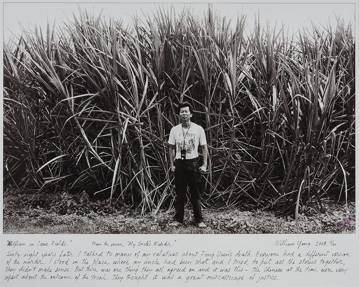William Yang, Australia b.1943 / William in cane fields (from 'My Uncle's Murder' portfolio) 2008, printed 2020 / Inkjet print on Innova Softex paper / 59 x 91cm / Gift of the artist through the QAGOMA Foundation 2022. Donated through the Australian Government's Cultural Gifts Program / Collection: Queensland Art Gallery | Gallery of Modern Art / © William Yang