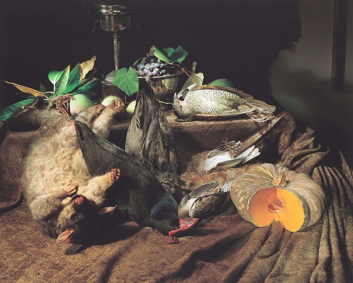 Marian Drew, Australia b.1960 / Possum with five birds (from ‘Australiana still life’ series) 2003 / Archival pigments on cotton paper, ed. 10/10 / 75.4 x 92cm (comp.) / Gift of Dr Daryl Hewson through the QAGOMA Foundation 2021. Donated through the Australian Government’s Cultural Gifts Program / Collection: Queensland Art Gallery | Gallery of Modern Art / © Marian Drew/Copyright Agency