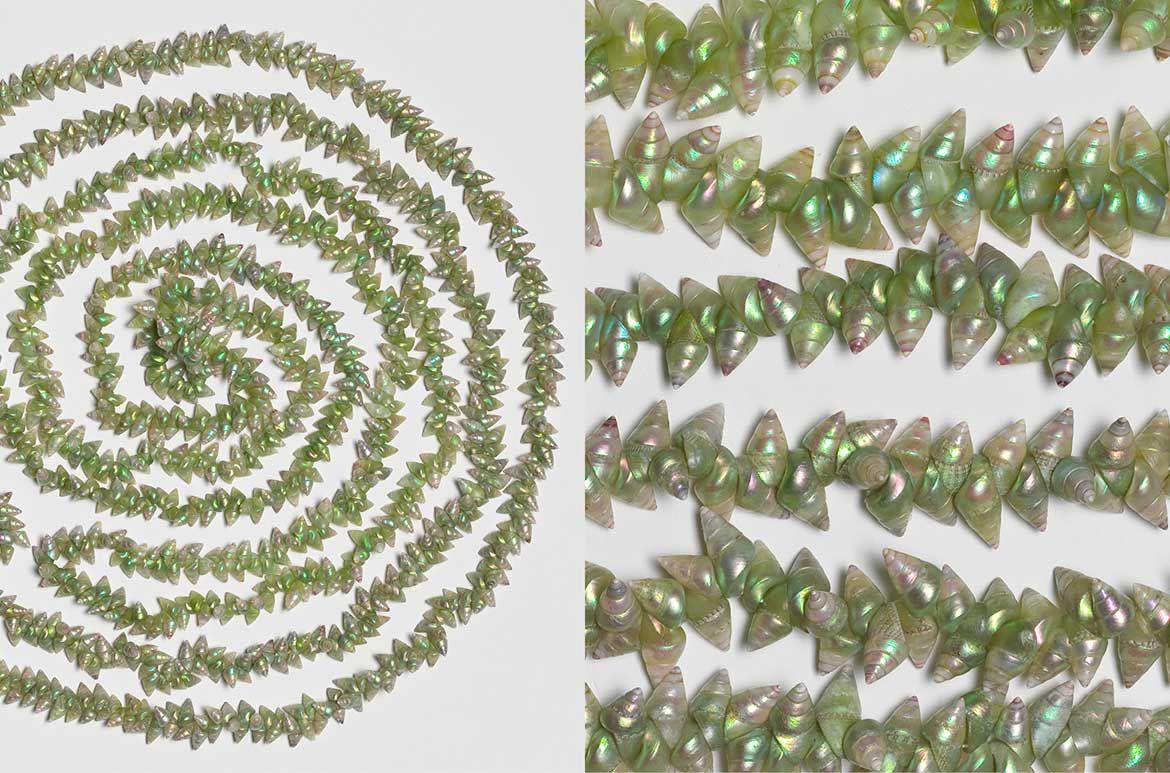 Lola Greeno, Australia b.1946 / Green maireener necklace 2007 / Green maireener shells threaded with double strength quilting thread / 180 x 1.5cm / Purchased 2008. QAGOMA Foundation Grant / Collection: Queensland Art Gallery | Gallery of Modern Art / © Lola Greeno