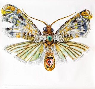 eX de Medici, Australia b.1959 / Pure Impulse Control 2008 / Watercolour on paper / 110 x 114cm / Luke Fildes Collection / © eX de Medici / Photograph: Murray Fredericks