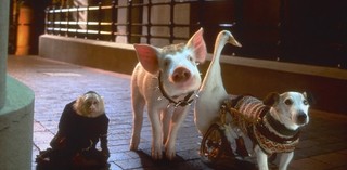Production still from Babe: Pig in the City 1998 / Director: George Miller / Image courtesy: Universal Pictures Australia