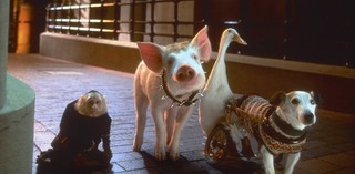 Production still from Babe: Pig in the City 1998 / Director: George Miller / Image courtesy: Universal Pictures Australia