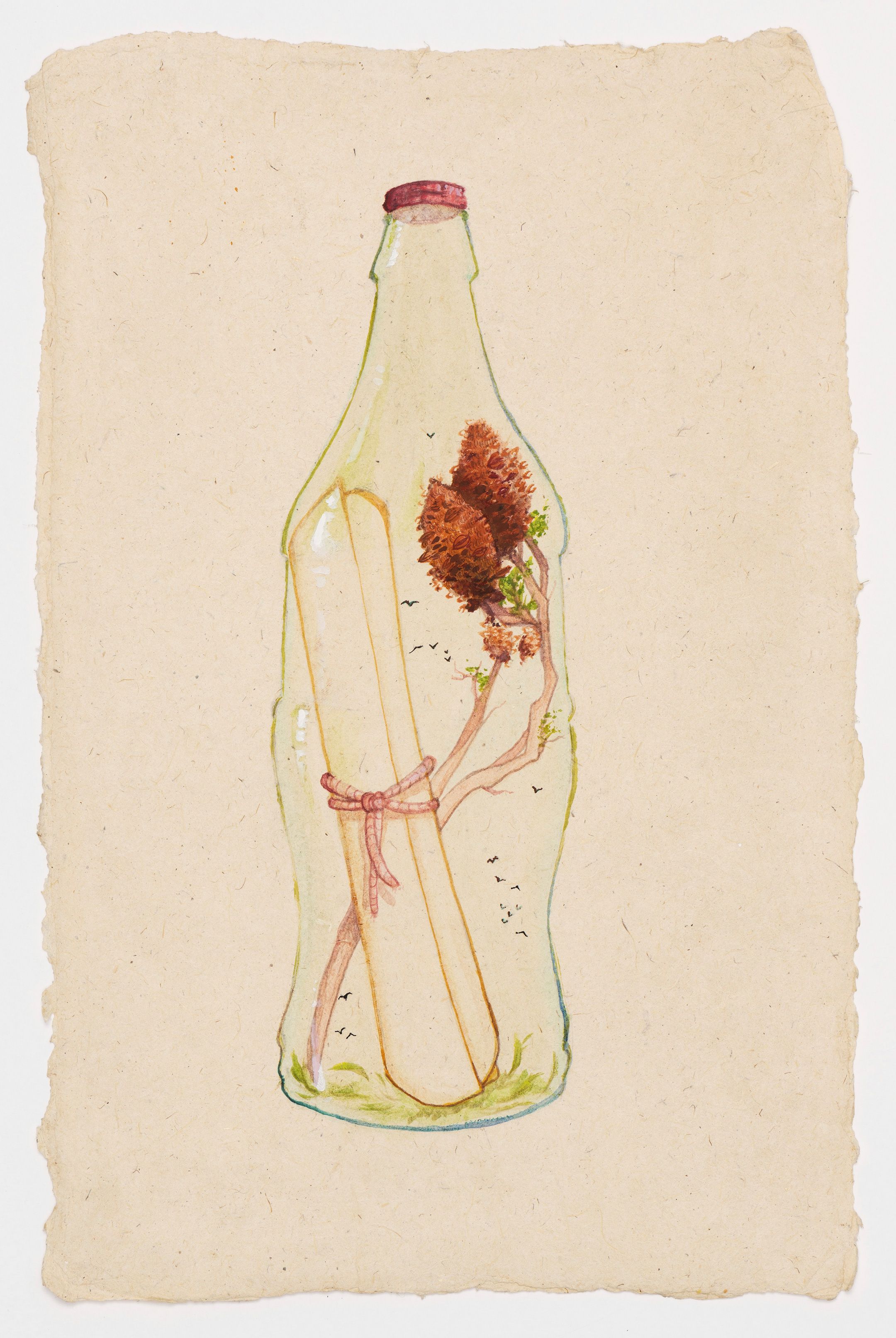 Jade Walsh | Bottled Message 2024
