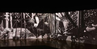 Nicolas Molé, France/New Caledonia b.1975 / IIs vous regardent (They look at you) 2015, reconfigured 2017 / Mixed media installation / Purchased 2017 with funds from the bequest of Jennifer Taylor through the Queensland Art Gallery | Gallery of Modern Art Foundation / Collection: Queensland Art Gallery | Gallery of Modern Art / © Nicolas Molé