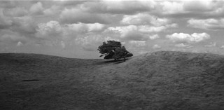 Te Whakawhitinga 2022 / Black and white 16mm film / 11 minutes / Single-channel 16mm film transferred to digital HD video, black and white, sound / Courtesy: The artist / © Jeremy Leatinu'u / Photograph: / Image courtesy: The artist (crop)