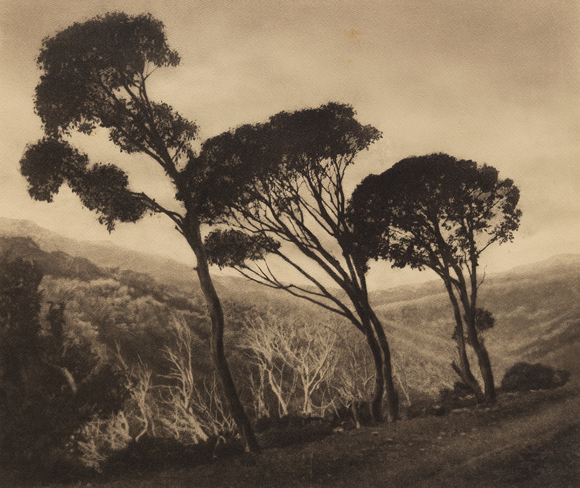 Rose Simmonds, Australia 1877-1960 / The three witches c.1937 / Bromoil transfer photograph on paper / 25.5 x 30cm (comp.) / Gift of Dr J H Simmonds 1982 / Collection: Queensland Art Gallery | Gallery of Modern Art