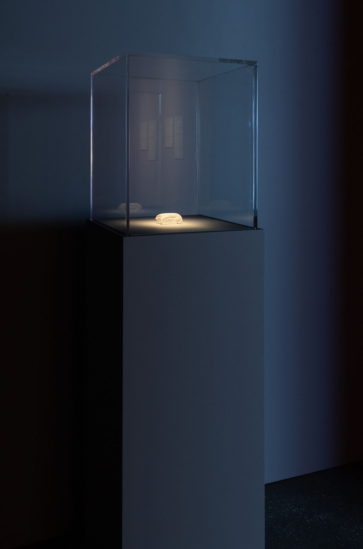 Rei Naito, Japan b.1961 / pillow for the dead 1998 / Silk organza, thread / 6.3 x 4.5 x 3cm / Purchased 1999. Queensland Art Gallery Foundation Grant / Collection: Queensland Art Gallery | Gallery of Modern Art / © Rei Naito / Photograph: M Campbell © QAGOMA