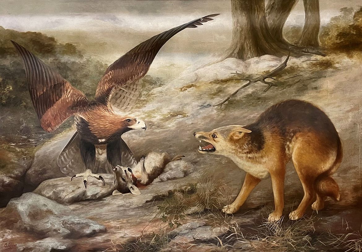 Anthony Alder, Australia 1838-1915 / Eagle and Fox (Not Game) 1895 / Oil on canvas / Collection: Queensland Museum