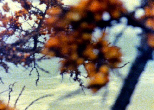 Production still from Am Meer 1994 / Director: Ute Aurand / Image courtesy: Ute Aurand
