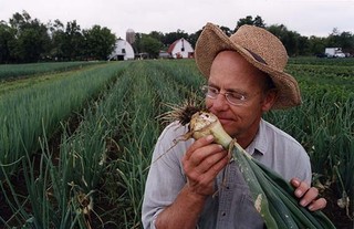 Farmer John in the onion field.
