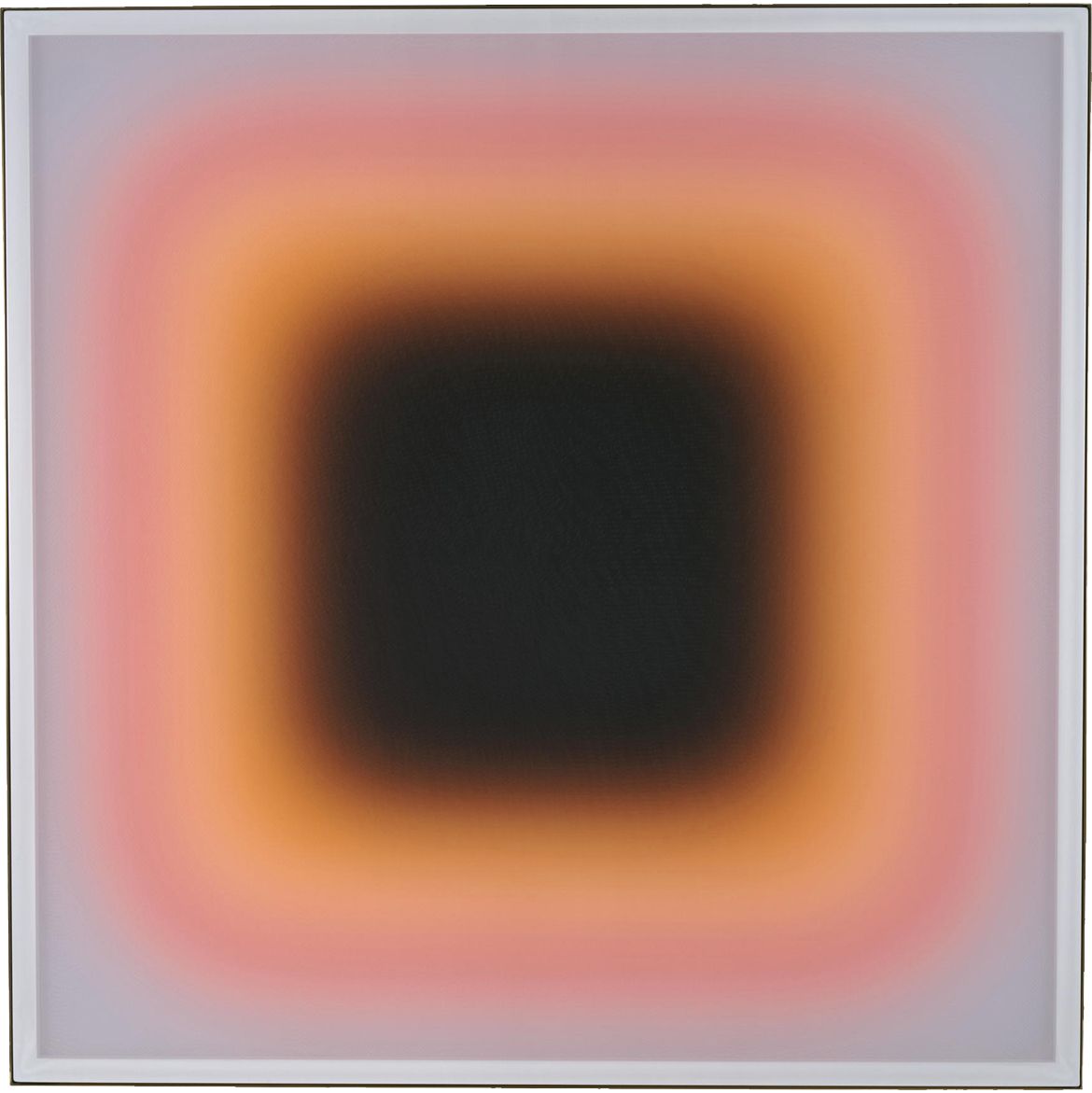 Jonny Niesche, Australia b.1972 / Schein blossom (sonnen) 2020 / Dye sublimation print on polyester voile, powder-coated steel, wood and mirror-polished brass / 176 x 176 x 3.4cm / Gift of the artist through the QAGOMA Foundation 2023. Donated through the Australian Government’s Cultural Gifts Program / Collection: Queensland Art Gallery | Gallery of Modern Art / © Jonny Niesche