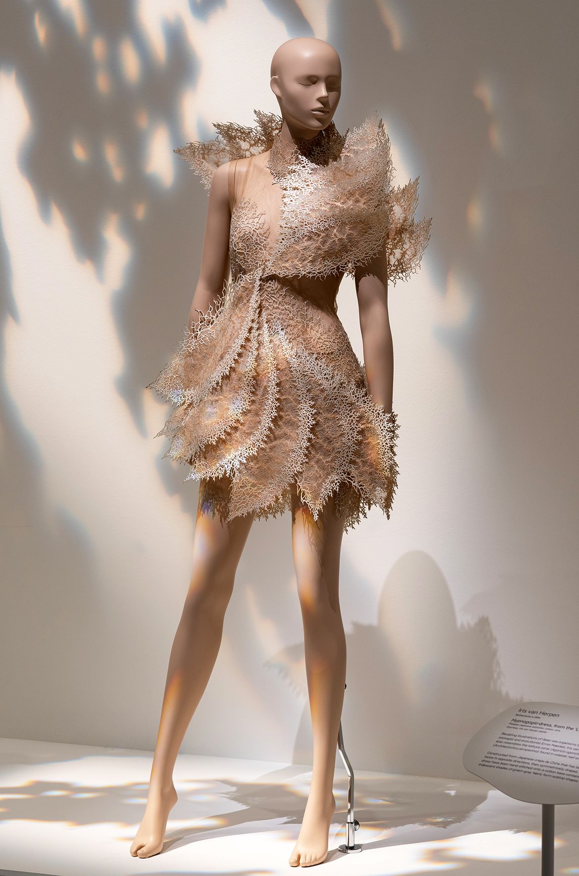 Iris van Herpen , Netherlands b.1984 / Rogan Brown (Collaborator), United Kingdom b.1966 / Parley for the Oceans (Collaborator), United States est.2012 / Magnetosphere dress, from the ‘Earthrise’ collection 2021 / Laser-cut upcycled Parley Ocean Plastic, cotton, mylar, tulle, silk and lace / Worn by actor Hailee Steinfeld at the Met Gala, New York, 2021 / © Iris van Herpen atelier / Photograph: N Umek © QAGOMA