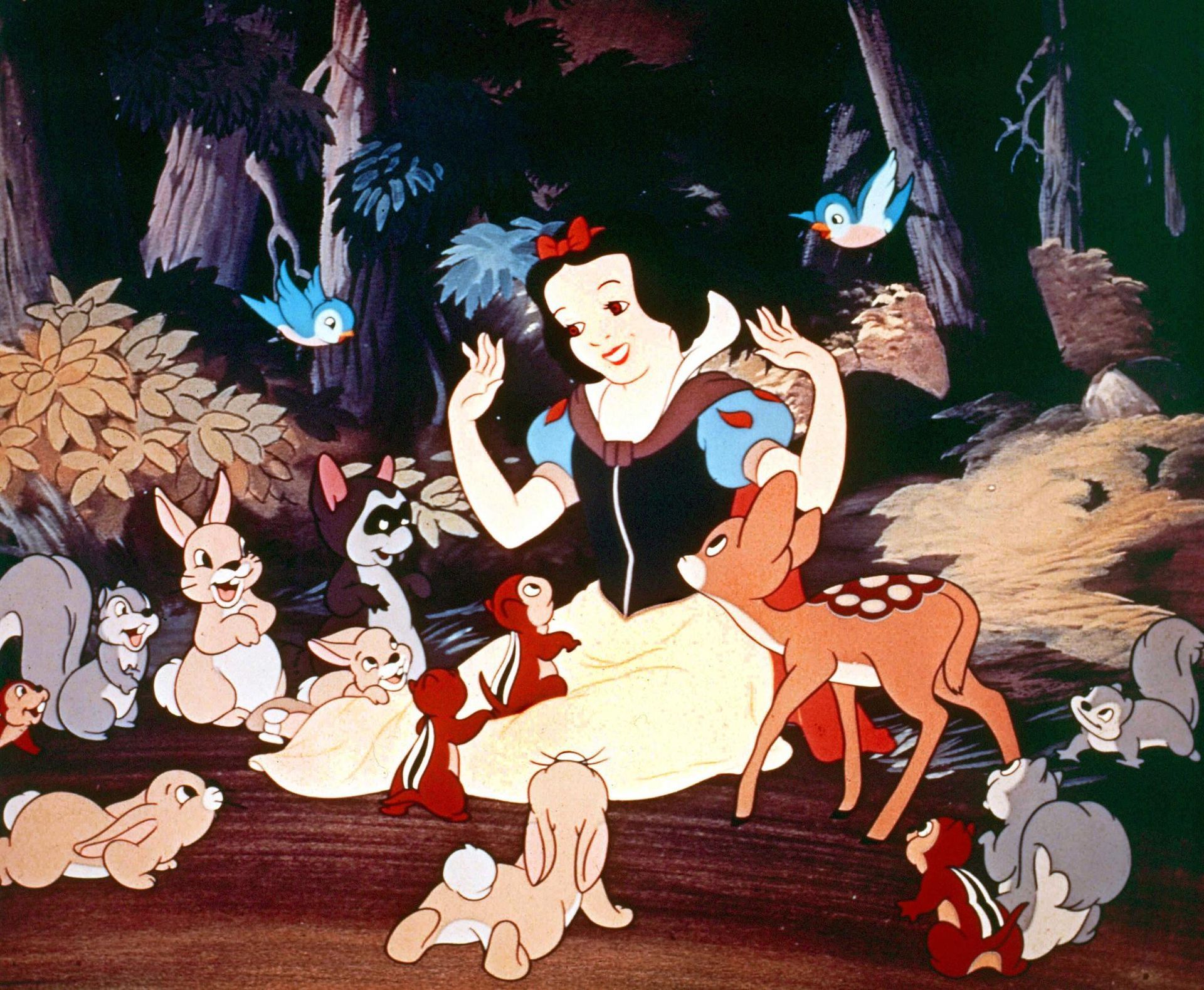 Snow White and the Seven Dwarfs  Disney Movies