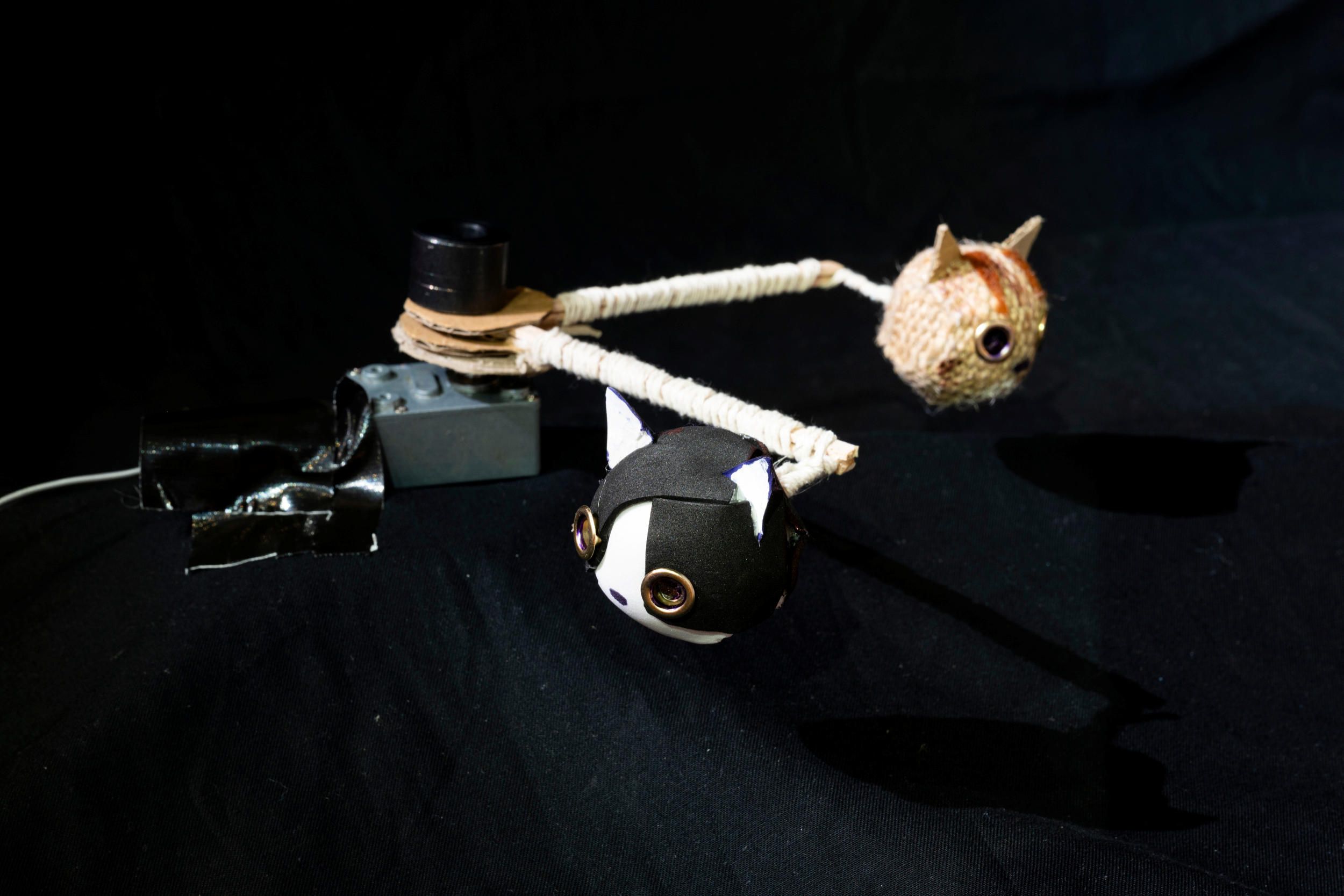 Jasmin Roberts | Cat and Cat 2025