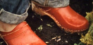 Production still from Rushing Green with Horses 2019 / Director: Ute Aurand / Image courtesy: Ute Aurand