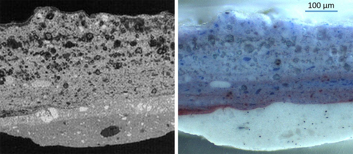 Under the jacaranda / Left: Backscatter electron image (Centre for microscopy and microanalysis, University of Queensland) Right: Visible light