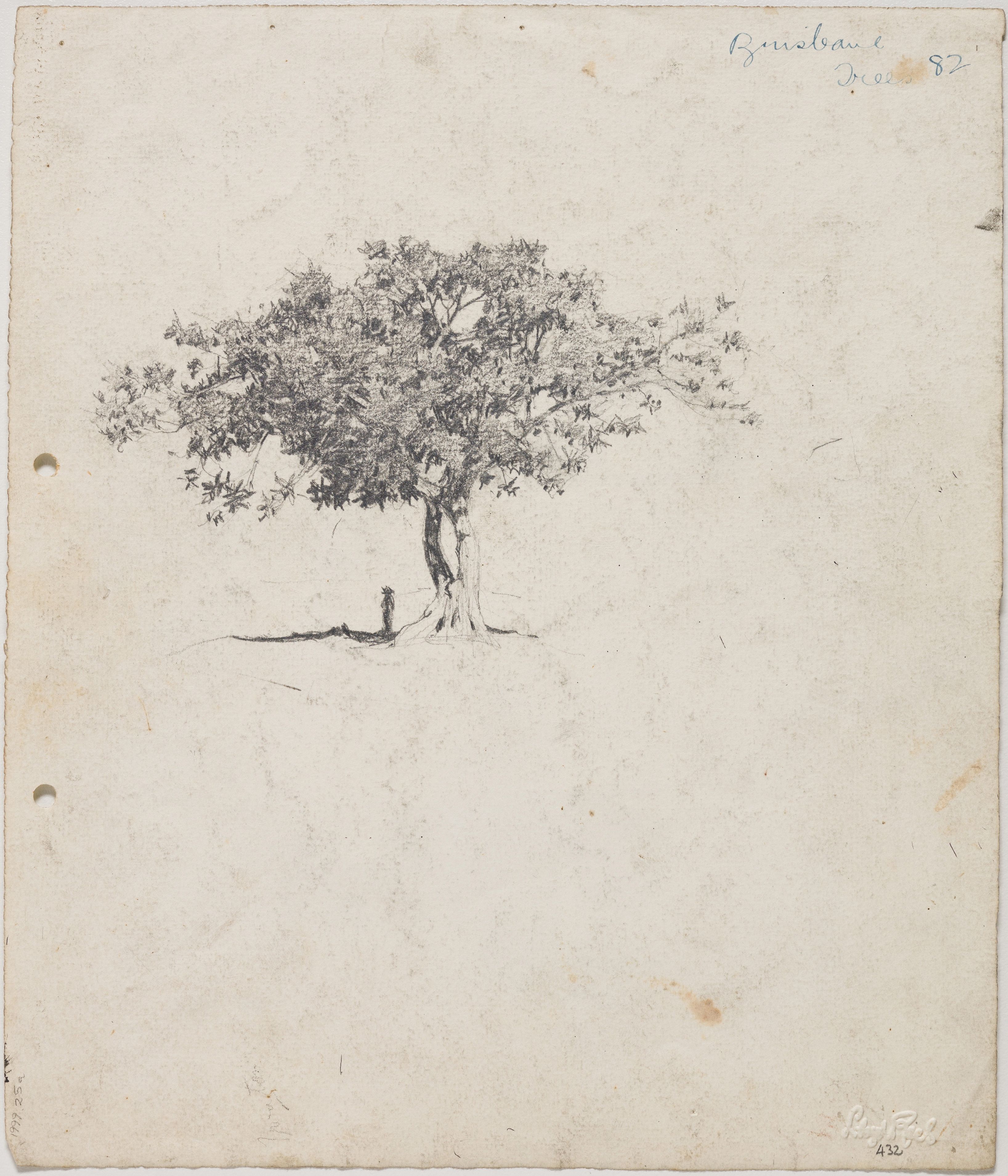 Lloyd Rees,1895 - 1988 / Moreton Bay Fig at Milton, figure under tree c.1912-17 / Pencil on paper / Gift of Alan and Jan Rees through the Queensland Art Gallery Foundation 1999. Donated through the Australian Government's Cultural Gifts Program / Collection: Queensland Art Gallery | Gallery of Modern Art / © Lloyd Rees