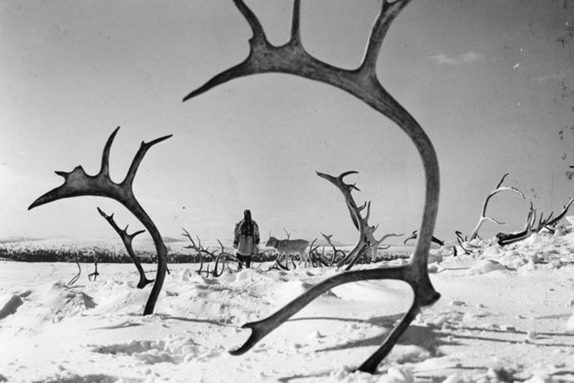 Production still from The White Reindeer 1952 / Director: Erik Blomberg / Image courtesy: National Audiovisual Institute – Kavi, Helsinki