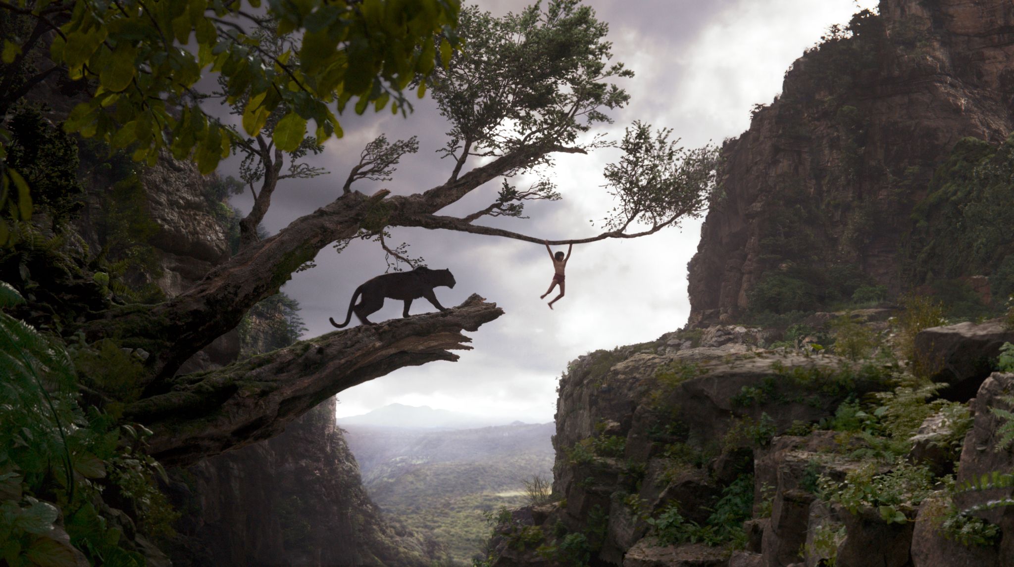 Production still from The Jungle Book 2016 / Director: Jon Favreau / Image courtesy: The Walt Disney Company (Australia)