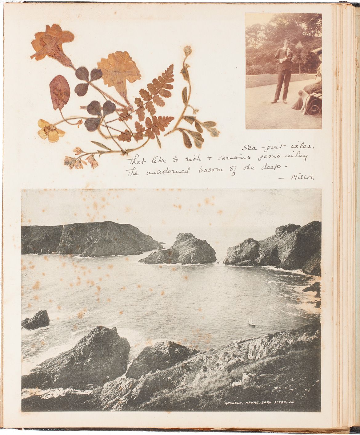 Pages from the album of Ethel Fairweather showing a photograph of her brother Ian, pressed flowers and photographs of the island of Sark, where the Fairweather family holidayed c.1908 / India and Channel Islands: Fairweather Photograph Album 1898–1908 / Collection: QAGOMA Research Library / © QAGOMA