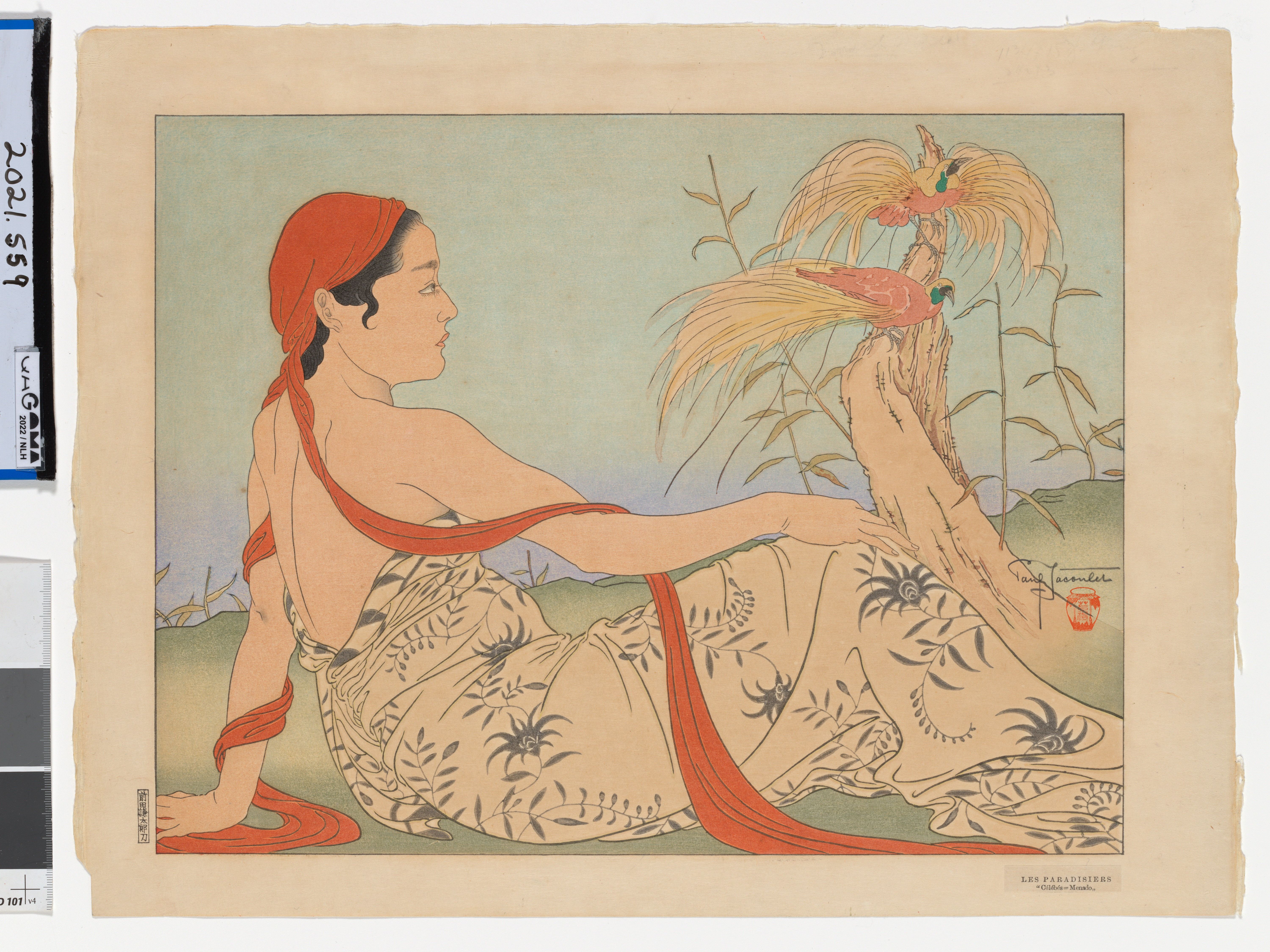 Paul Jacoulet, France 1896-1960 / Les paradisiers, Menado, Célébes (Birds of paradise, Menado, Celebes), [Sulawesi, Indonesia] 1937 / Colour woodblock print on PJ watermarked paper / 36.1 x 47.4cm / Purchased 2021 with funds from the Airey Family through the QAGOMA Foundation / Collection: Queensland Art Gallery | Gallery of Modern Art / © Paul Jacoulet/Copyright Agency