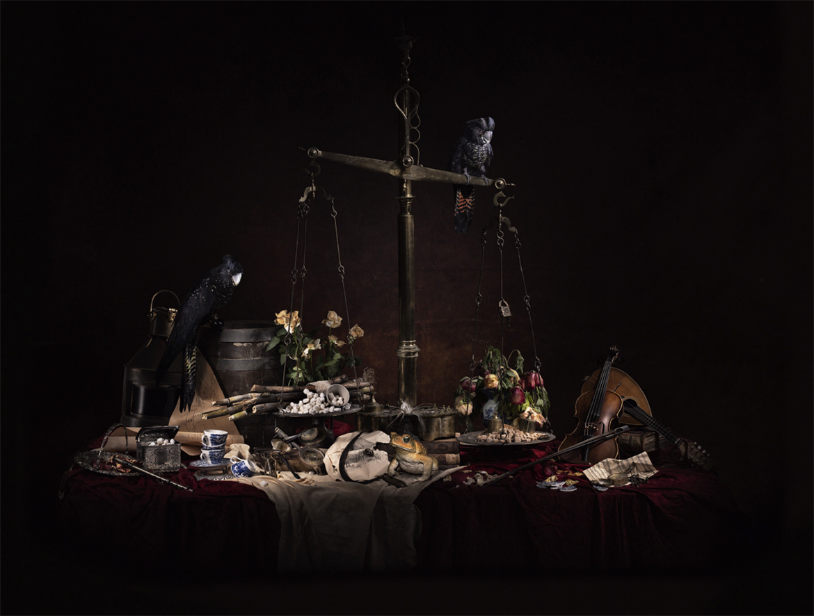 Michael Cook, Bidjara people, Australia b.1968 / Nature Morte (Blackbird) (from ‘Natures Mortes’ series) 2021 / Epson UltraChrome K3 inks on Hahnamühle Photo Rag Bright White 310 gsm paper / 122 x 172cm / Purchased 2021. QAGOMA Foundation / Collection: Queensland Art Gallery | Gallery of Modern Art / © Michael Cook